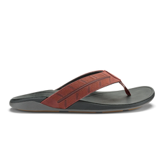 Tuahine Palm  -  Canoe / Rock